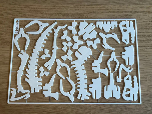 3D Dinosaur Puzzle Skeleton Model, T-Rex Educational Toy for Kids, White