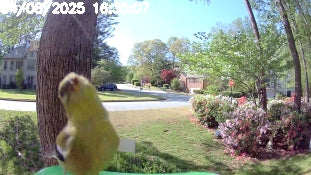 Beoals Smart Wi-Fi Bird Feeder for Blink Camera