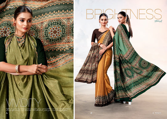 Ethnic Motifs Pashmina Saree